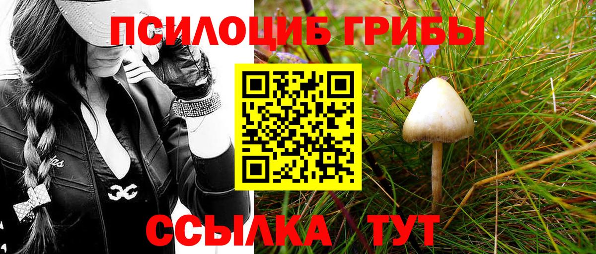 Галлюциногенные грибы прущие грибы Мытищи